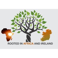 Roots in Africa-Ireland logo - Similar company to Association Of Black Researchers (Abr)