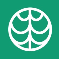 NeuroLife logo - Similar company to Sponge Brain