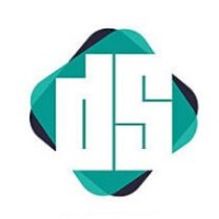The Digital Stride TDS logo - Similar company to Capex Global Solution