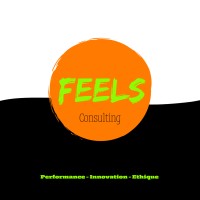 The Flow Coaching - FEELS Consulting logo - Similar company to Capset