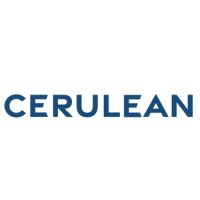 Cerulean AI logo - Similar company to Amberfi