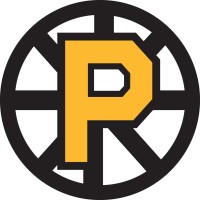 Providence Bruins logo - Similar company to Springfield Thunderbirds