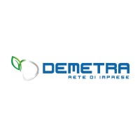 Demetra Rete di imprese logo - Similar company to Saced S.R.L.