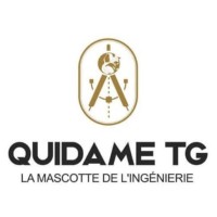 Quidametg logo - Similar company to Activeh