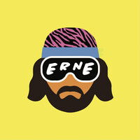 Erne Pickleball logo - Similar company to Spirals