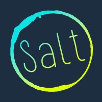 Salt - The Digital Marketing Agency logo - Similar company to Harper Creative