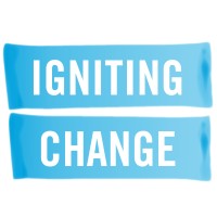Igniting Change logo - Similar company to Bridge It