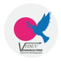 ViDEV CONSULTING logo - Similar company to Wamp-It.Com
