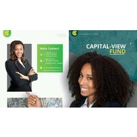CAPITAL-VIEW FUND LIMITED logo - Similar company to Capital Limit