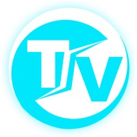 Techvake logo - Similar company to Intellemind Technologies Pvt Ltd
