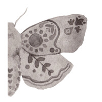 The Moth Cafe logo - Similar company to Norsemen Inn