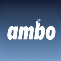 Ambo Invest logo - Similar company to Mintbash
