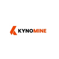 Kynomine Solutions logo - Similar company to Intellect It Systems