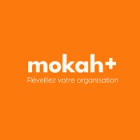 Mokah+ logo - Similar company to Lydia Hallie Development