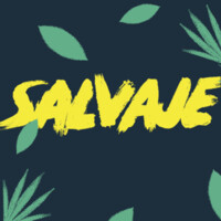 Salvaje logo - Similar company to D