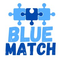 Blue Match logo - Similar company to Cloudstride