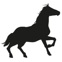 E.to.K-Experience logo - Similar company to Mowoki