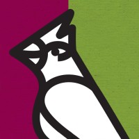 Mousebird Consulting
