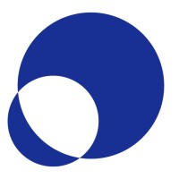 Neptune Solutions logo - Similar company to Datamix