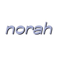 The Norah Store logo - Similar company to Red Hot