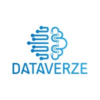 DataVerze logo - Similar company to Rises Analytics Solutions Pvt Ltd