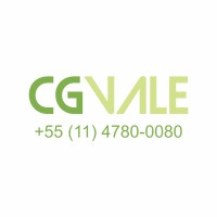 CG VALE Soluções Integradas de Logística logo - Similar company to Comexfácil
