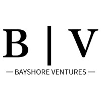Bayshore Ventures Group, LLC logo - Similar company to Leliwop, Llc