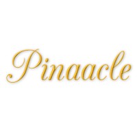 Pinaacle Technologies Pvt Ltd logo - Similar company to Smith&Sky
