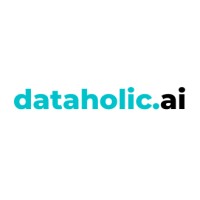 Dataholic Analytics Solutions logo - Similar company to Dataholic