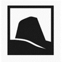 Stonevale Capital logo - Similar company to Skyra Fly