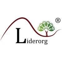 Liderorg Innovation Private Limited logo - Similar company to Lionbridge Ventures