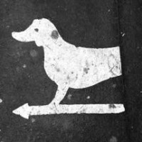 Je garde le chien - Claire Diterzi logo - Similar company to Dimanche Matin