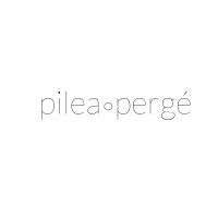 pilea pergé GmbH logo - Similar company to Pyx Ai