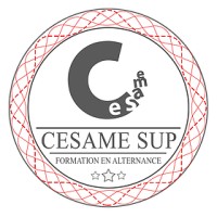 Cesame Sup Business School logo - Similar company to Cesame Sup