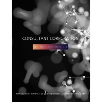 Consultant Corporation logo - Similar company to Brosksa