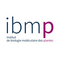 IBMP (Institut de Biologie Moléculaire des Plantes) logo - Similar company to Igbmc