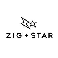 ZIG+STAR logo - Similar company to Ops Clean