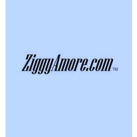 ZiggyAmore Ent logo - Similar company to Researchlink Partners