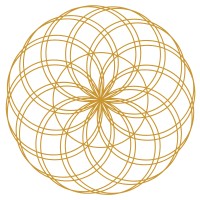 The RASHA® logo - Similar company to Gc Rivera Foundation
