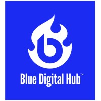 Blue Digital Hub logo - Similar company to The Enterprise Village