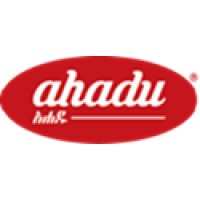Ahadu Group logo - Similar company to Net & Com Plc