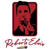ROBERTO ELVIS logo - Similar company to Arch'Idea