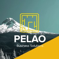 Pelao Business Solutions logo - Similar company to Upward Technology