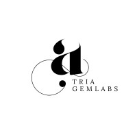 AtriaGem Labs logo - Similar company to Emc2 Group, Llc