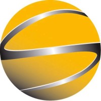 SinaLingua - Cross-Cultural Management logo - Similar company to Depstore