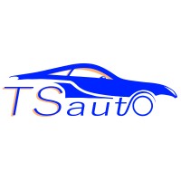 TS Auto logo - Similar company to Ts Auto