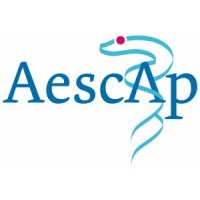 Aescap logo - Similar company to Primer Professionals