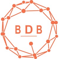 BDB Network logo - Similar company to Inspire S.R.L.