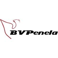 BV Penela logo - Similar company to Psd Penela