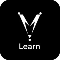 Metvy Learn logo - Similar company to Learn Computer Science